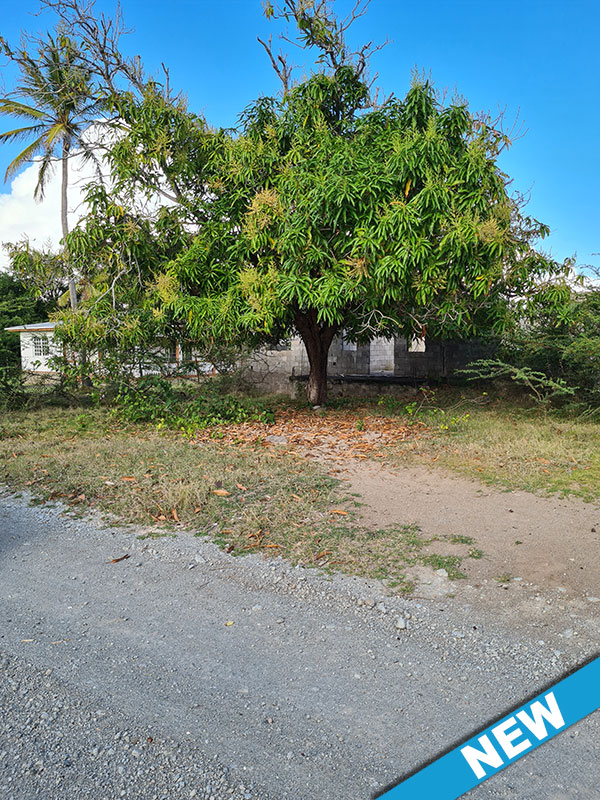 1 of 9 from Oualie Realty