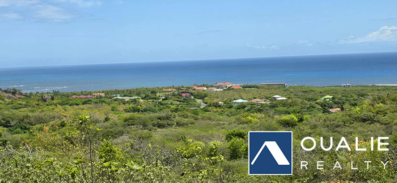 4 of 6 from Oualie Realty