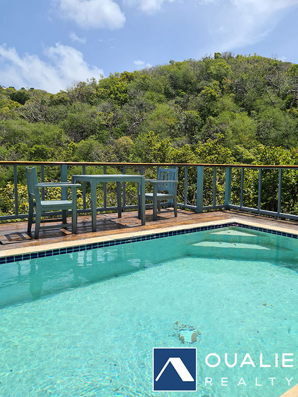 4 of 25 from Oualie Realty