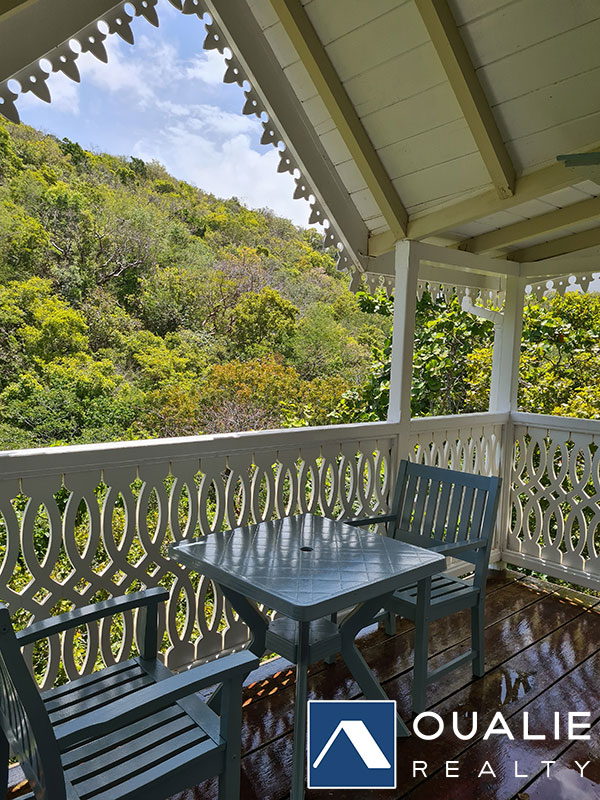 9 of 25 from Oualie Realty
