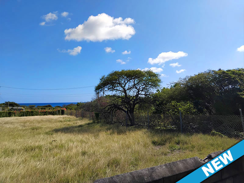 1 of 9 from Oualie Realty