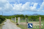View of St Kitts thumbnail from Coldwell Banker