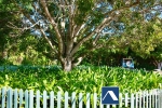 9 of 9 thumbnail from Coldwell Banker