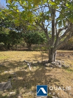 27 of 28 thumbnail from Coldwell Banker
